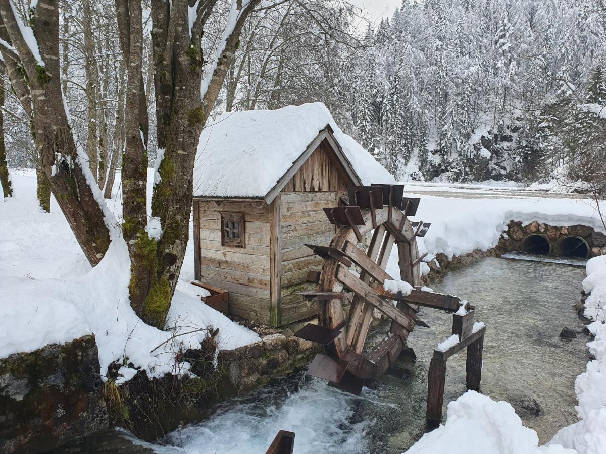 Apartma Lenka Kranjska Gora Exteriör bild