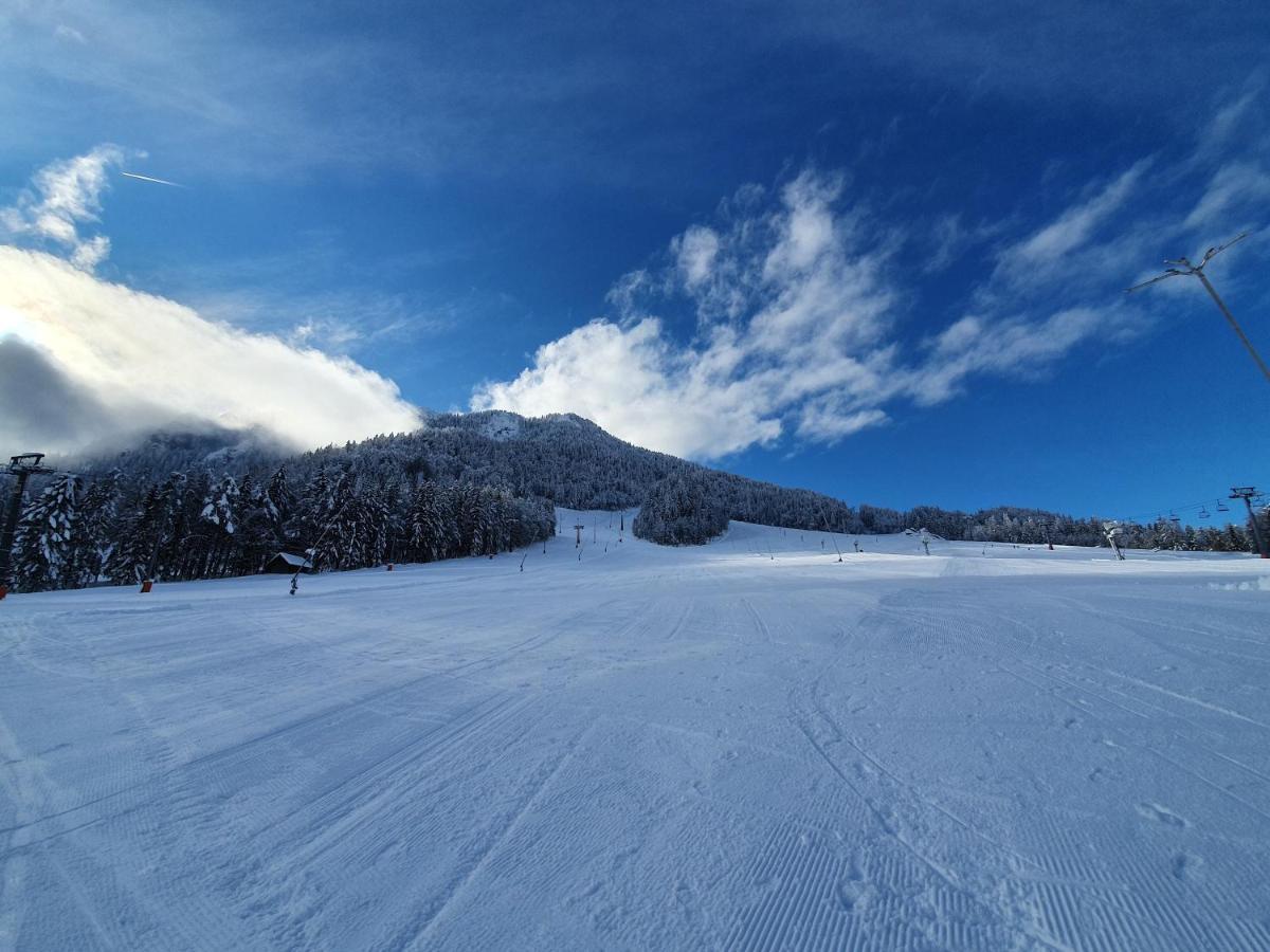 Apartma Lenka Kranjska Gora Exteriör bild