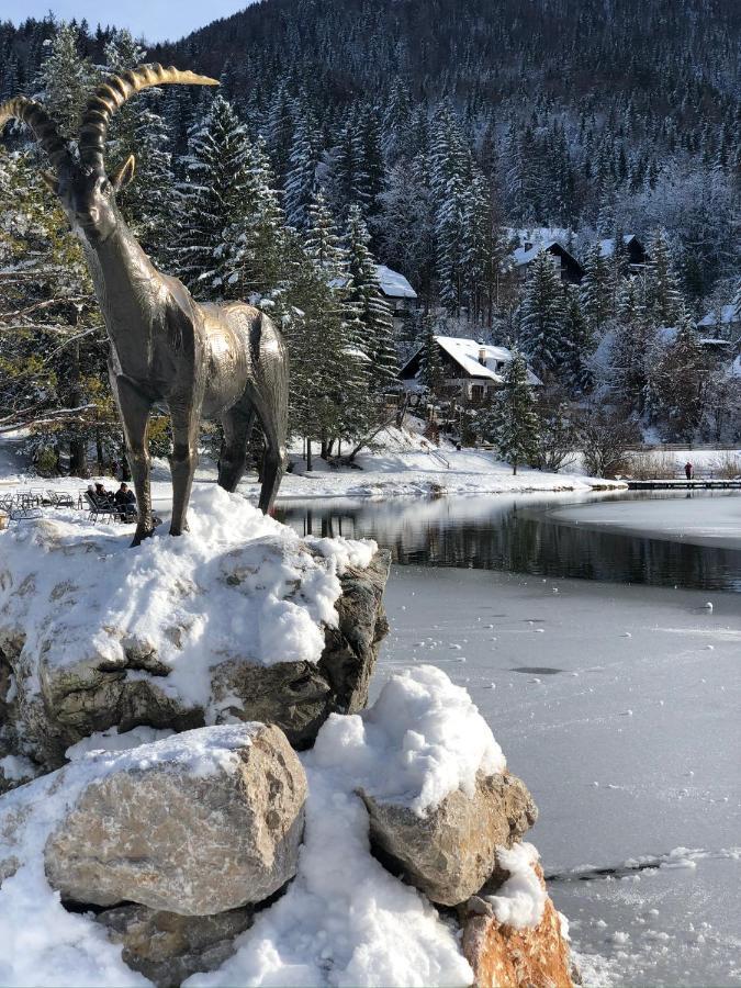 Apartma Lenka Kranjska Gora Exteriör bild